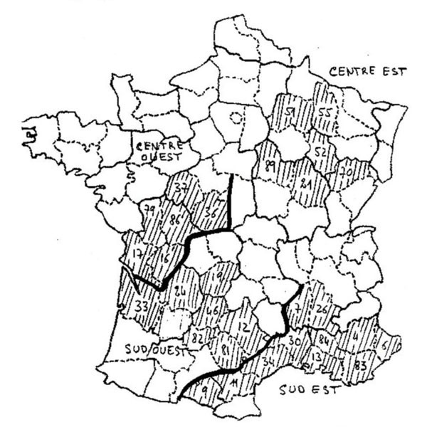 truffe 2