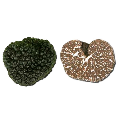 truffe 2
